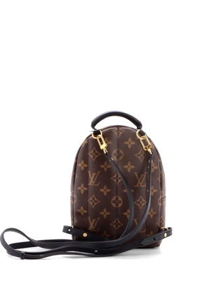Louis Vuitton Pre-Owned Palm Springs Monogram Canvas Mini backpack - Brown