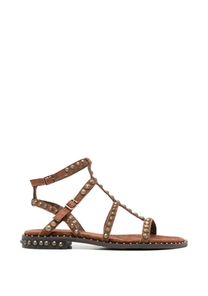 Ash Precious leather sandals - Brown