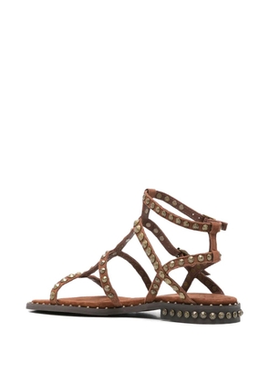 Ash Precious leather sandals - Brown