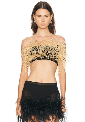 Lapointe Feather Bandeau Top in Black - Black. Size S (also in L, M, XS).