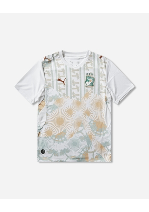 Men s Côte d Ivoire 2026 Away Jersey White / Warm Chestnut
