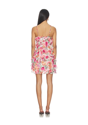 ASTR the Label Blanca Dress in Pink. Size XS. Also in L, M, S.