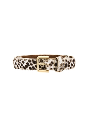 Flattered Barbara Belt in Chocolate. Size M. Also in L.