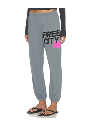 Free City Large Sweatpant in Grey. Size XS. Also in L.