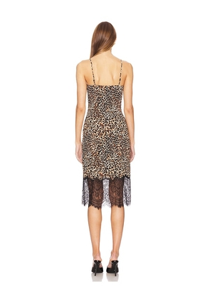 LOBA Jacinta Midi Dress in Brown. Size XS. Also in XXS.