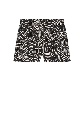 OAS Tar Lorenzo Swim Shorts in Black. Size S. Also in XL/1X.