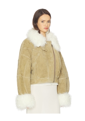 Vaillant Aviator Jacket Suede Leather in Beige. Size 40. Also in 36.