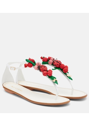 Aquazzura Botanica raffia-effect thong sandals