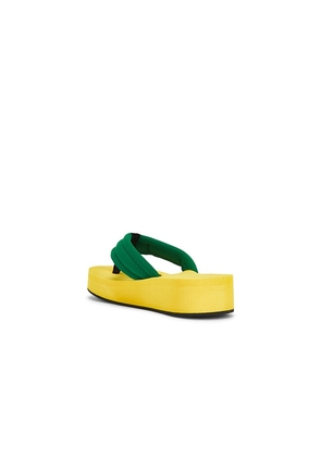 Coperni Foam Flip Flop Sandal in Yellow,Green. Size 37. Also in 38, 39.