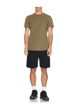Cuts Curve Hem Tee in Brown. Size S. Also in M, L, XL/1X, XXL/2X.