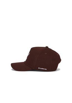 Students Golf Golf Dealer Strap Back Hat in Brown.