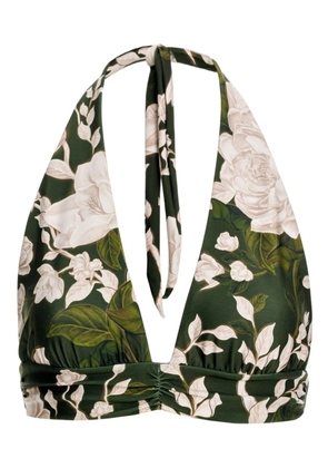 Agua By Agua Bendita Marimar Gardenia bikini top - Green