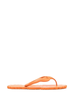 ZIMMERMANN Seafoam flip-flops - Orange
