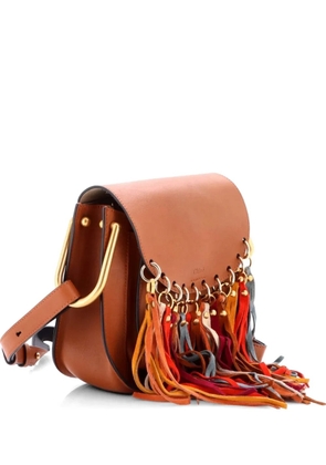 Chloé Pre-Owned Multicolor Fringe Hudson Bag Leather Small shoulder bag - Brown