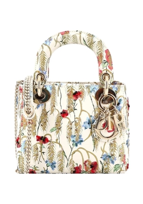Christian Dior Pre-Owned Lady Dior Chain Bag Embroidered Printed Calfskin Mini satchel - Multicolour