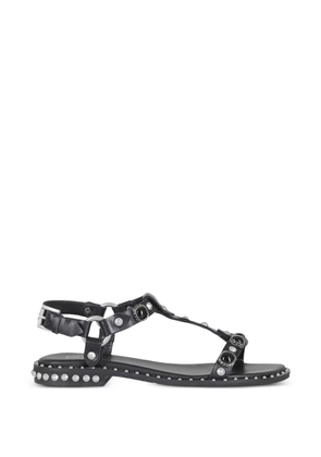 Ash Podium stud-embellished cabochon-stone sandals - Black