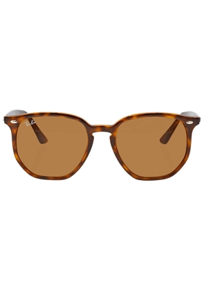 Ray Ban Brown Classic B-15 Hexagonal Unisex Sunglasses RB4306 710/73 54