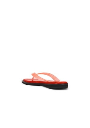 Dirt Flip Flops in Red. Size 37. Also in 38, 39, 40, 41.