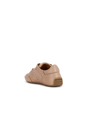 Odissi Cass Lace Up Sneaker in Beige. Size 37. Also in 38, 39, 40, 41.