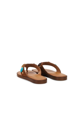 Seychelles Top Of The World Sandal in Brown. Size 6. Also in 6.5, 7, 7.5, 8, 8.5, 9, 10.
