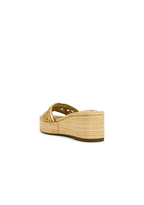 Sam Edelman Pauleena Weave Sandal in Metallic Gold. Size 6. Also in 10, 10.5, 6.5, 7, 7.5, 8, 8.5, 9, 9.5.