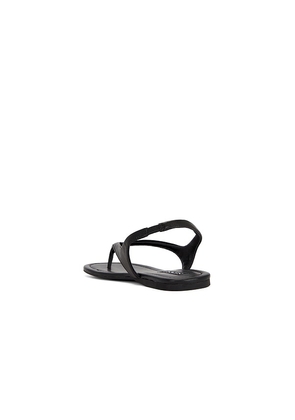 SENSO Nessa Sandal in Black. Size 37. Also in 39, 40.