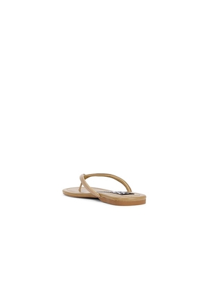 SENSO Norah II Flip Flop in Beige. Size 37. Also in 35, 36, 38, 39, 40, 41.