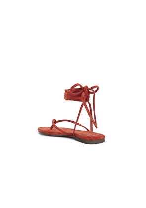 Seychelles Wander The World Sandal in Brick. Size 6. Also in 8.5, 11.