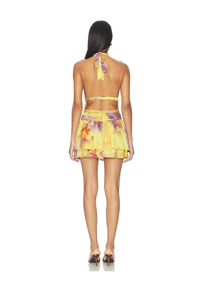 Runaway The Label Xylia Halter Low Plunge Mini Dress in Yellow. Size S. Also in L, XL, XS.