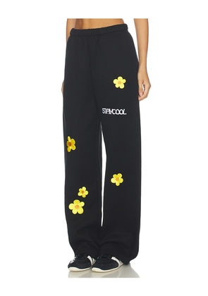 Stay Cool Sunflower Straight Sweatpants in Black. Size L. Also in S, M, XL/1X.