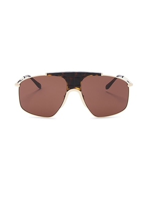 ALAÏA Animalier Pilot Sunglasses in Gold & Brown - Brown. Size all.