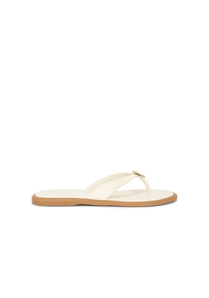 Dolce Vita Jaina Sandal in Cream. Size 6. Also in 6.5, 7, 7.5, 8, 8.5, 9, 9.5, 10.