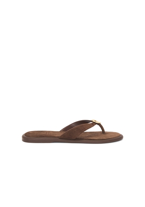 Dolce Vita Jaina Sandal in Brown. Size 6. Also in 6.5, 7, 7.5, 8, 8.5, 9, 9.5, 10.