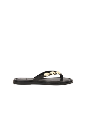 Dolce Vita Juny Sandal in Black. Size 6. Also in 6.5, 7, 7.5, 8, 8.5, 9, 9.5, 10.