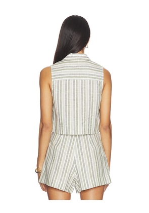 HEVRON Katja Yarn Dyed Top in Sage,White. Size XS. Also in L, M, S.