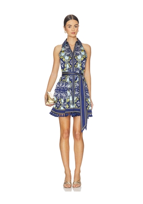 Alice + Olivia Lucy Halter Neck Mini Shirt Dress in Blue. Size 4. Also in 0, 2, 6, 8, 10, 12.