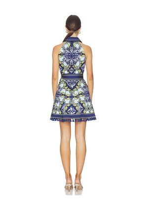 Alice + Olivia Lucy Halter Neck Mini Shirt Dress in Blue. Size 4. Also in 2, 12.