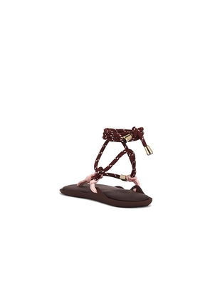 Flwze Fl?wze Fl? Twin Sandal in Burgundy. Size 36. Also in 37, 38, 39, 40, 41.