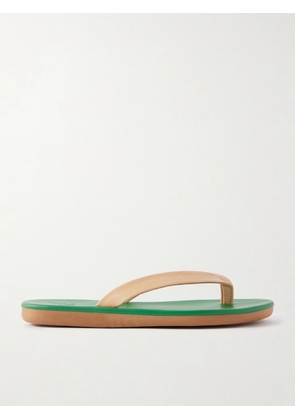 Ancient Greek Sandals - Saionara Leather Flip Flops - Green - IT35,IT36,IT37,IT38,IT39,IT40,IT41
