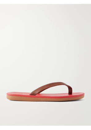 Ancient Greek Sandals - Saionara Leather Flip Flops - Red - IT35,IT36,IT37,IT38,IT39,IT40,IT41