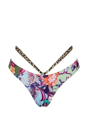 Del Maar floral-print bikini bottoms - Blue