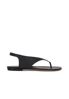 LE MONDE BÉRYL Langley Thong Flat Sandal in Black - Black. Size 36 (also in 36.5, 37, 37.5, 38, 38.5, 39, 39.5, 41).