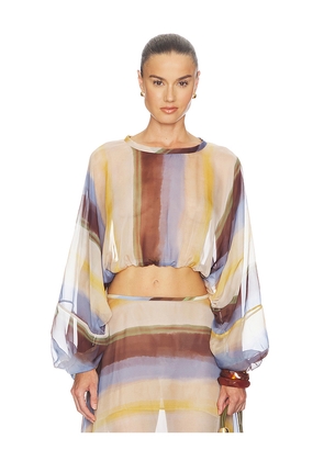 JBQ Elise Top in Lemon,Chocolate. Size XS. Also in S, M, L, XL.