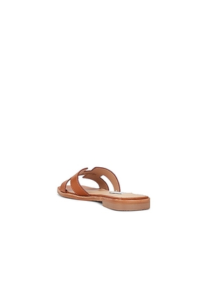 Steve Madden Hadyn Slide in Brown. Size 6.5. Also in 8.