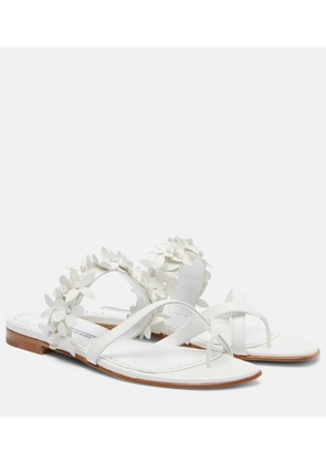 Manolo Blahnik Fiosa applique leather thong sandals