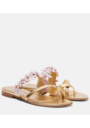 Manolo Blahnik Fiosabi applique leather thong sandals