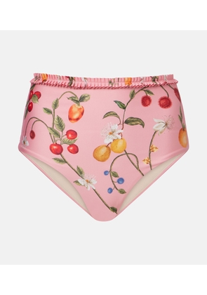 Agua by Agua Bendita Nopal printed bikini bottoms