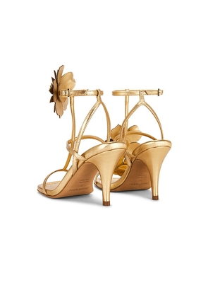 Zimmermann Belara Sandal in Metallic Gold. Size 36. Also in 37, 38, 39, 41.