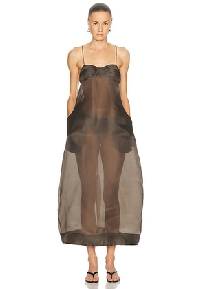 Rohe Sheer Bustier Volume Dress in Earth - Chocolate. Size 34 (also in ).