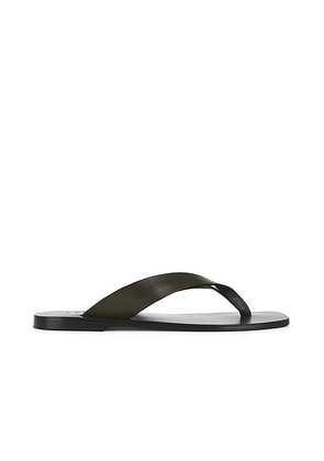 A.EMERY Kinto Sandal in Forest - Green. Size 36 (also in 37, 38, 39, 40, 41).